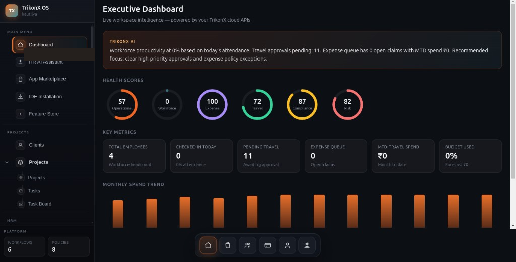 TrikonX IDE executive workspace preview